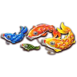 Floating Dragon koi