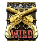 Wild symbol from bounty hunter